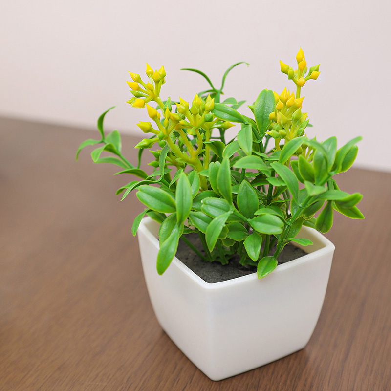 Artificial flower small potted - Baby Bookshelf Small 评论和价格